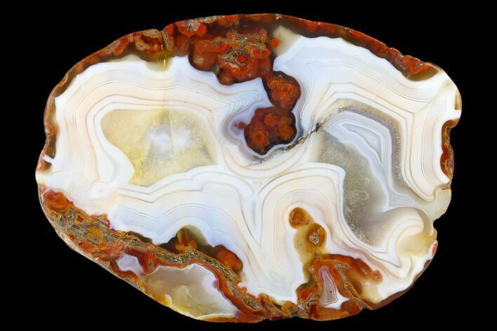 Polished Banded Agate Nodule Section - Kerrouchen, Morocco #181402